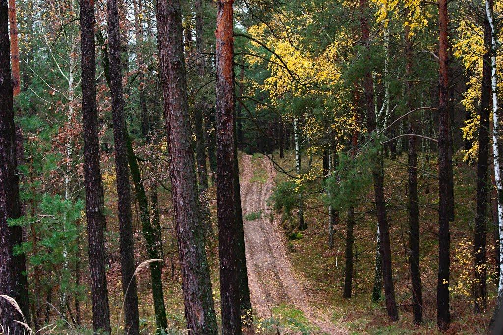 Софіївка з panoramio.com - Софиевка