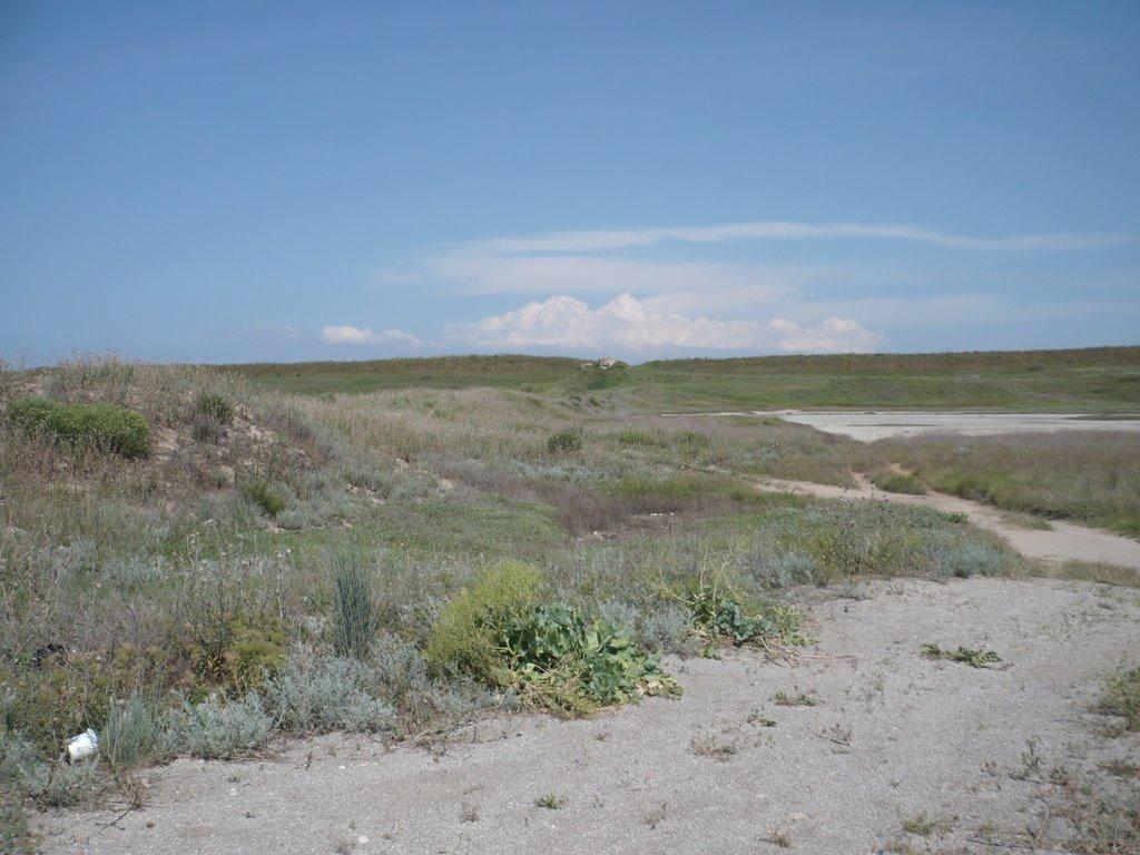 Львове з panoramio.com - Львове