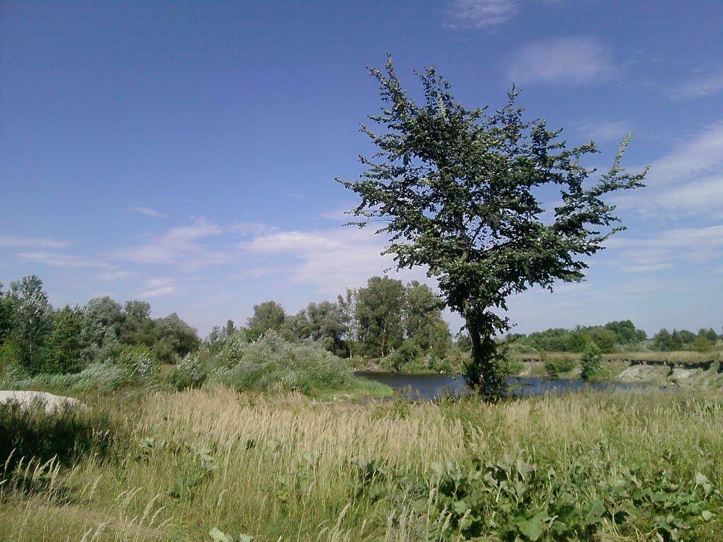 Лугове з panoramio.com - Луговое