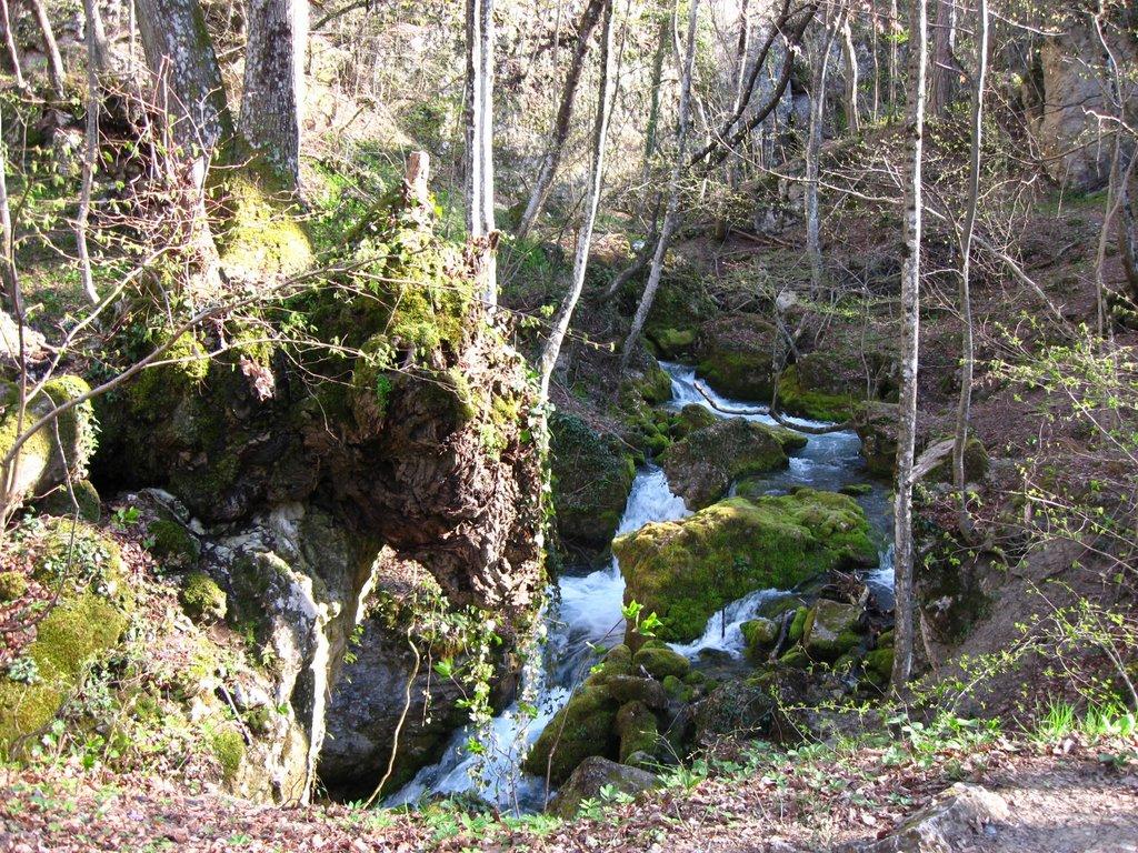 Щасливе з panoramio.com - Счастливое