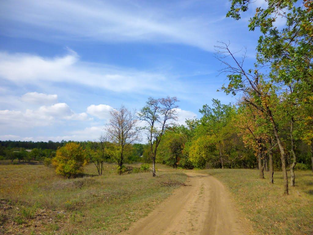 Вільне з panoramio.com - Вольное
