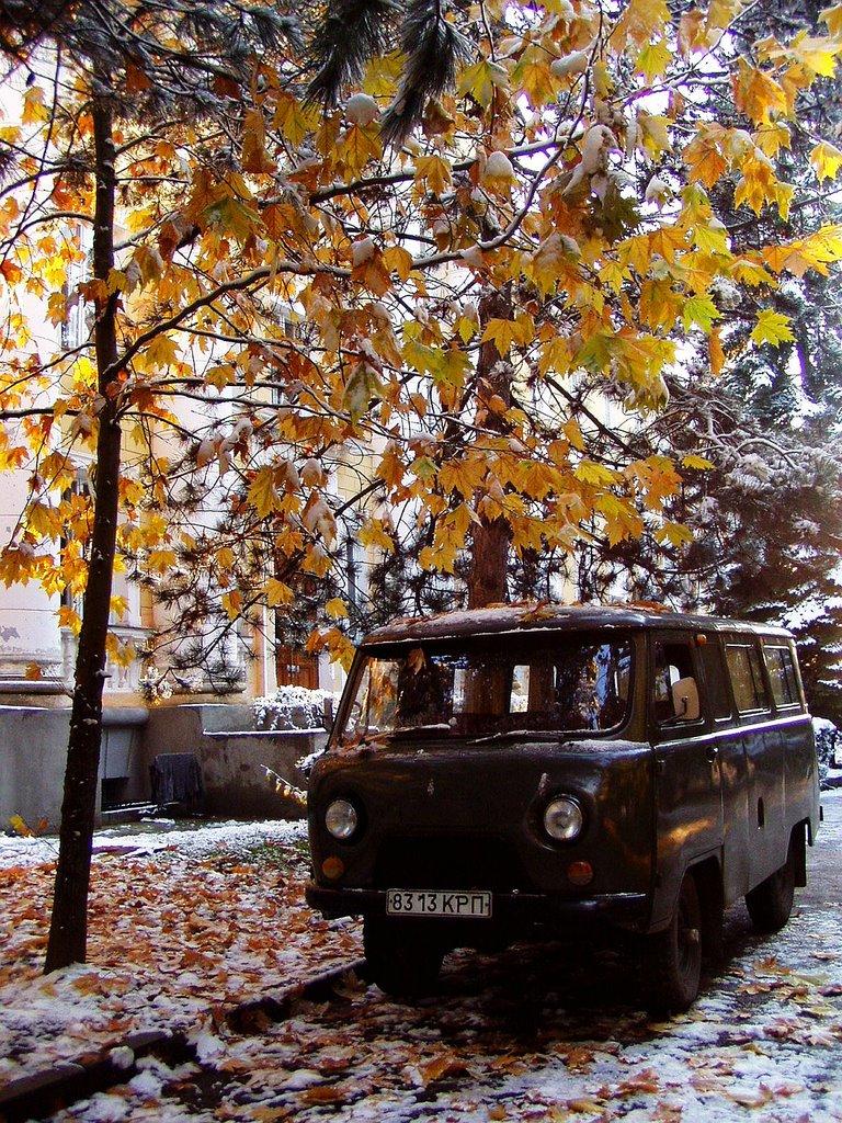 Научний з panoramio.com - Научный