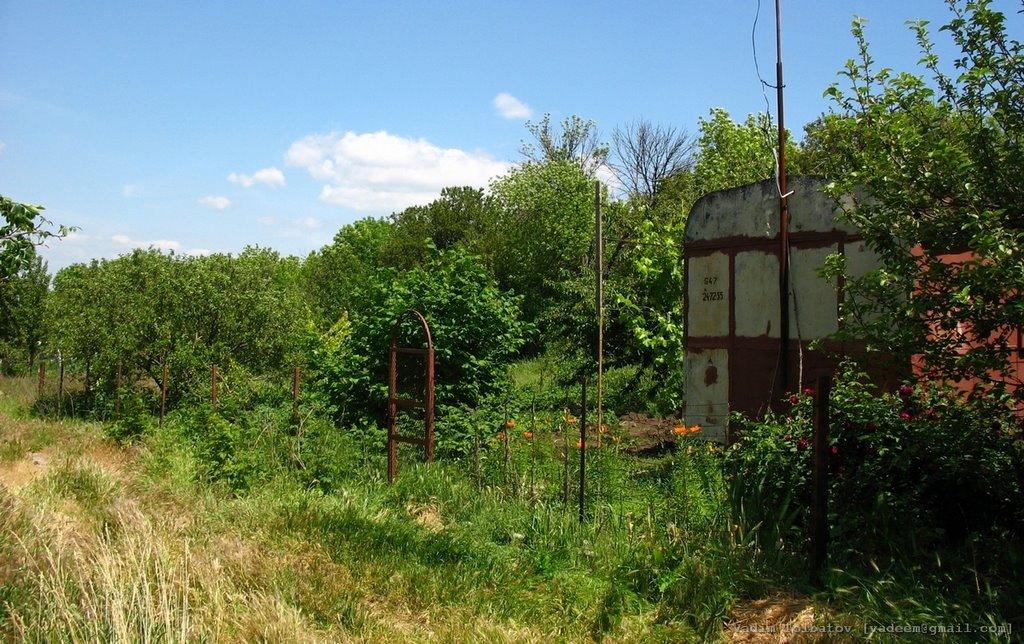 Гнутове з panoramio.com - Гнутове