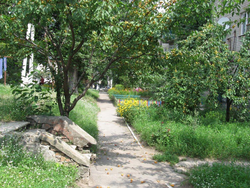 Світловодськ з panoramio.com (ч.2) - Світловодськ