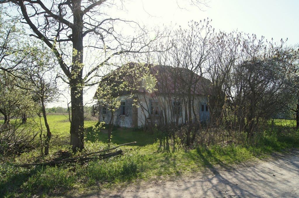 Звози з panoramio.com - Звози