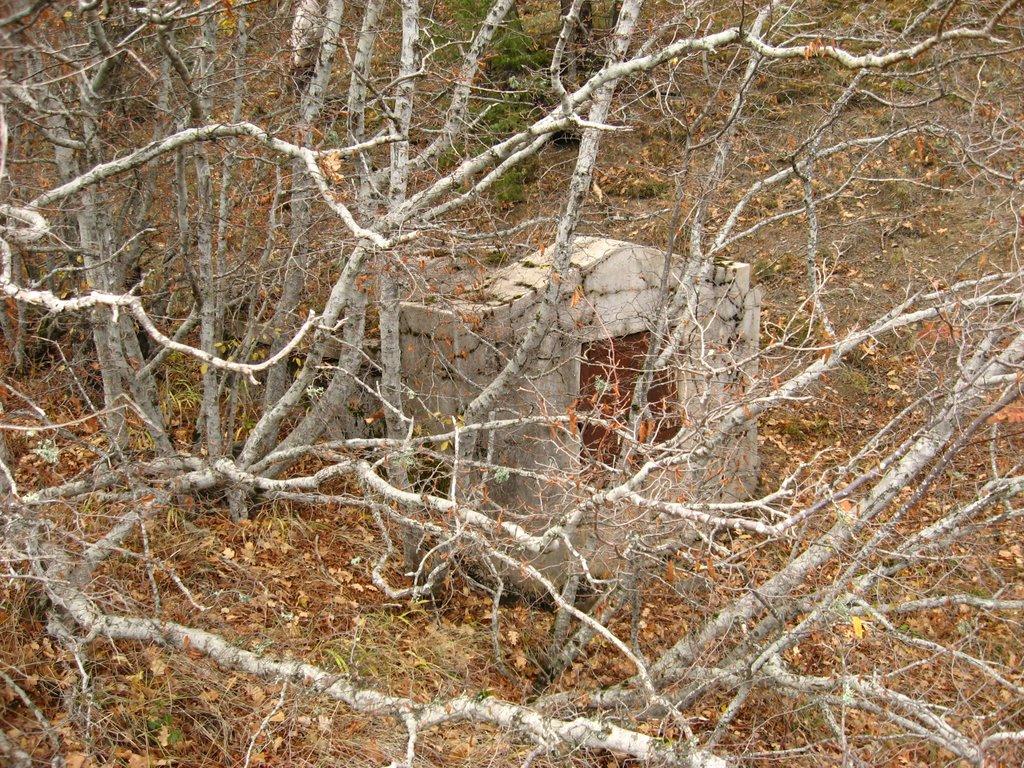 Запрудне з panoramio.com - Запрудне