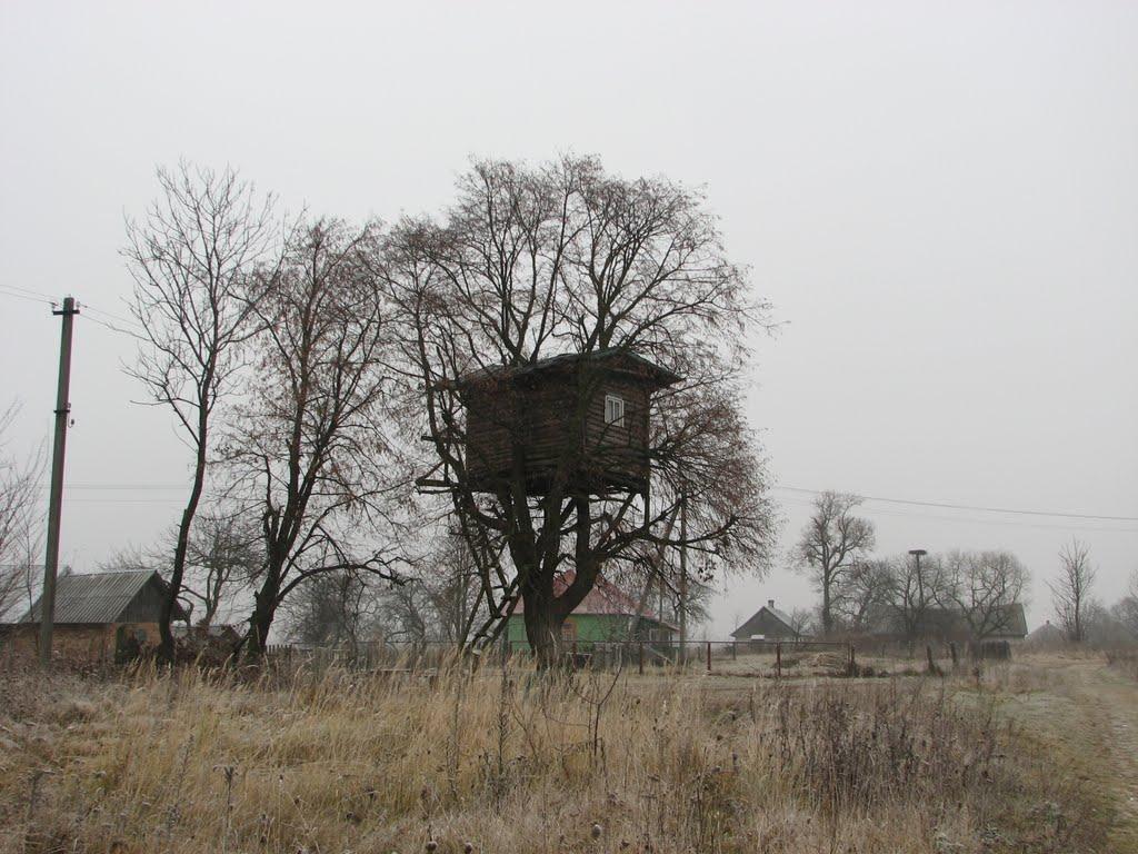 Дальнич з panoramio.com - Дальнич