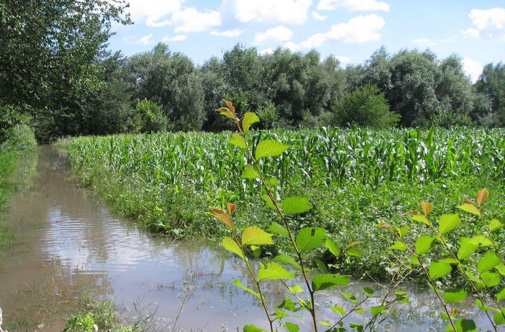 Велика Кісниця з panoramio.com - Велика Кісниця