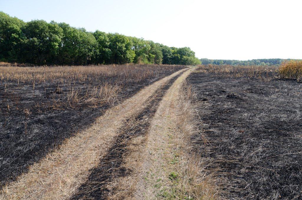 Буланове з panoramio.com - Буланове