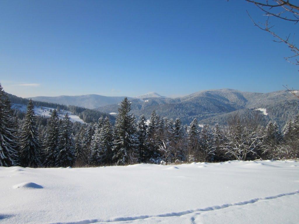 Микуличин з panoramio.com (ч.2) - Микуличин