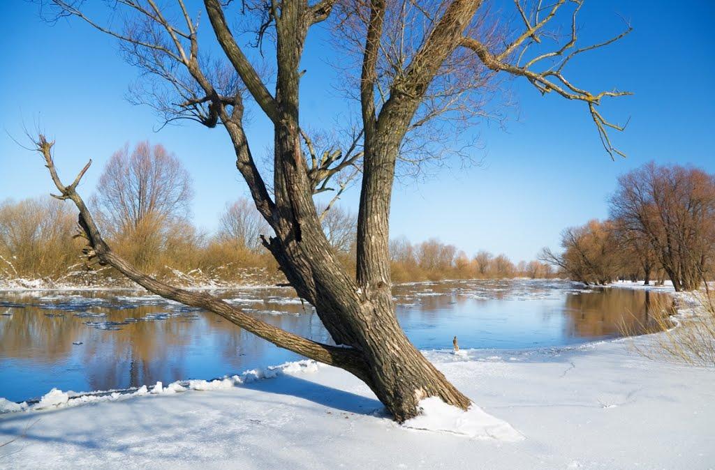 Кузнецовськ з panoramio.com - Varash