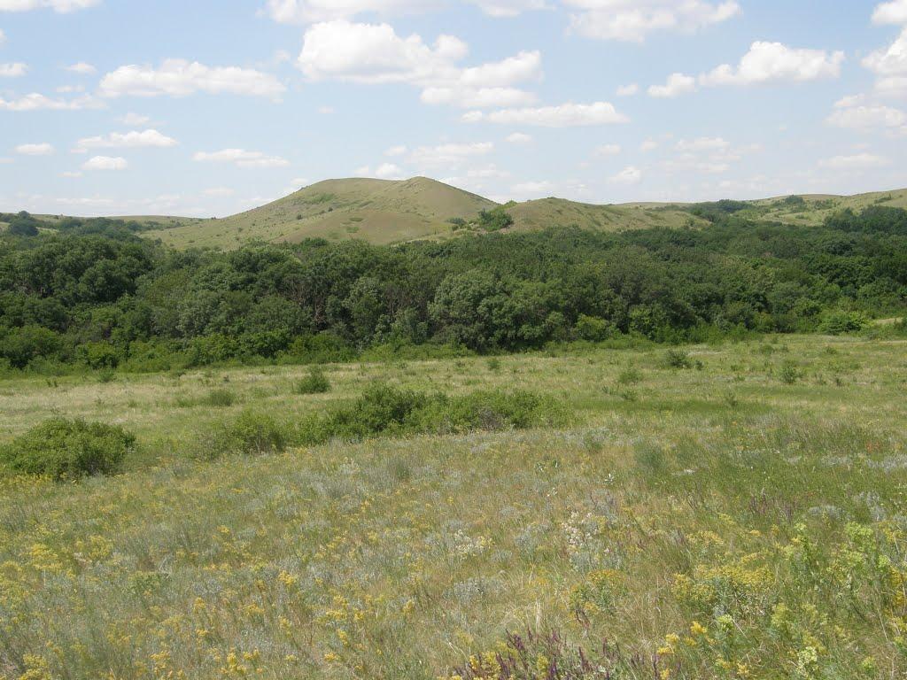 Дякове з panoramio.com - Дякове