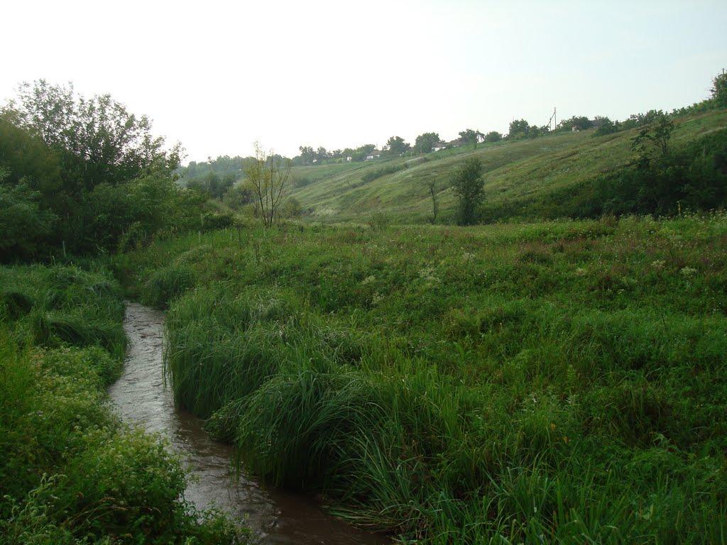 Побузьке з panoramio.com - Pobuzke