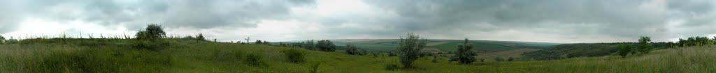 Гребеники з panoramio.com - Гребеники