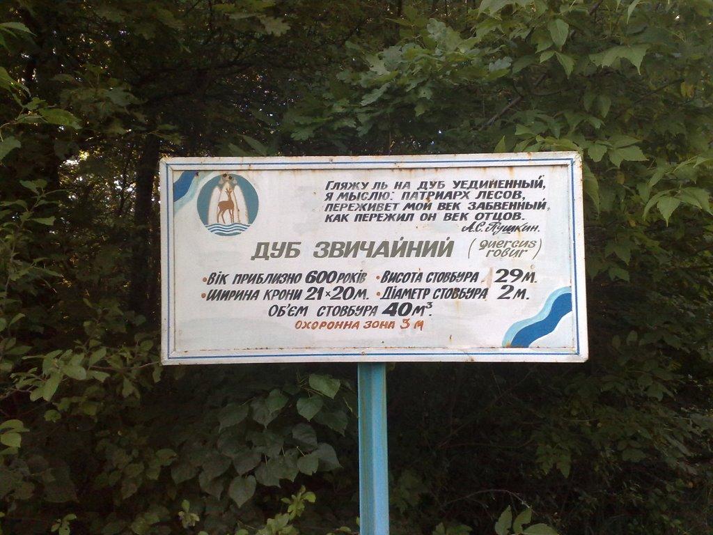 Богородичне з panoramio.com - Богородичное