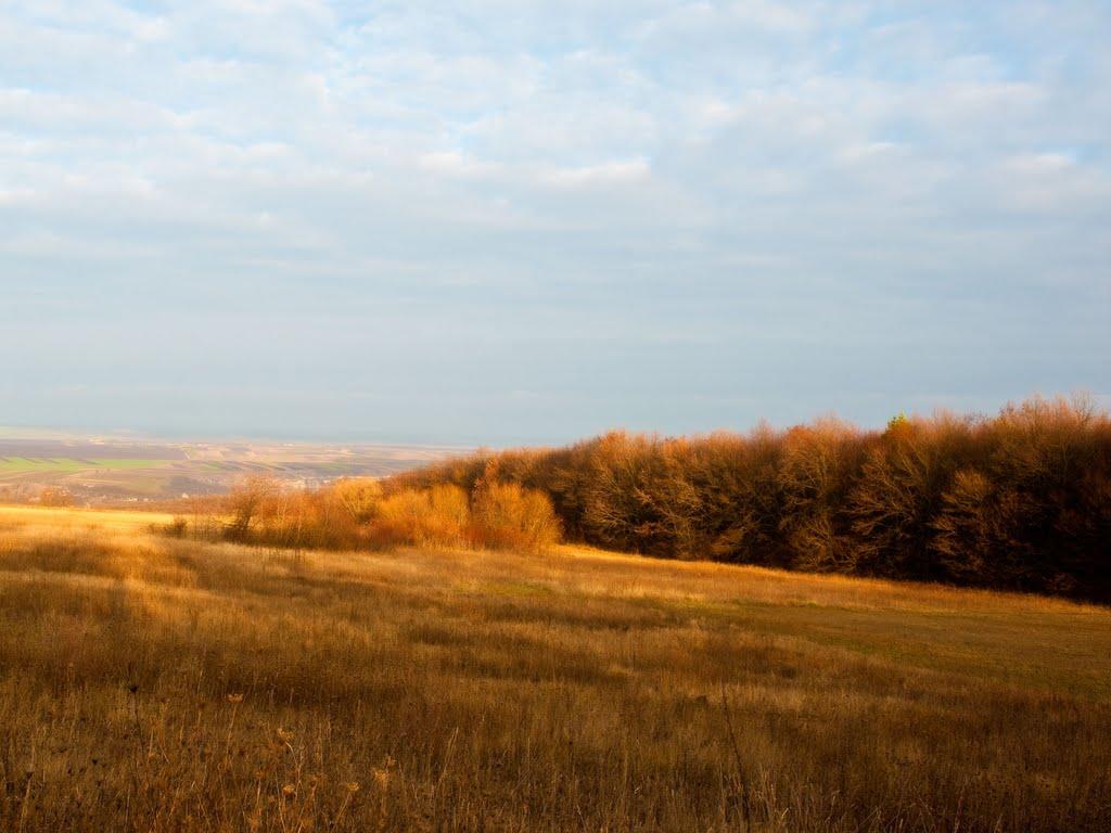 Рашків з panoramio.com - Rashkiv