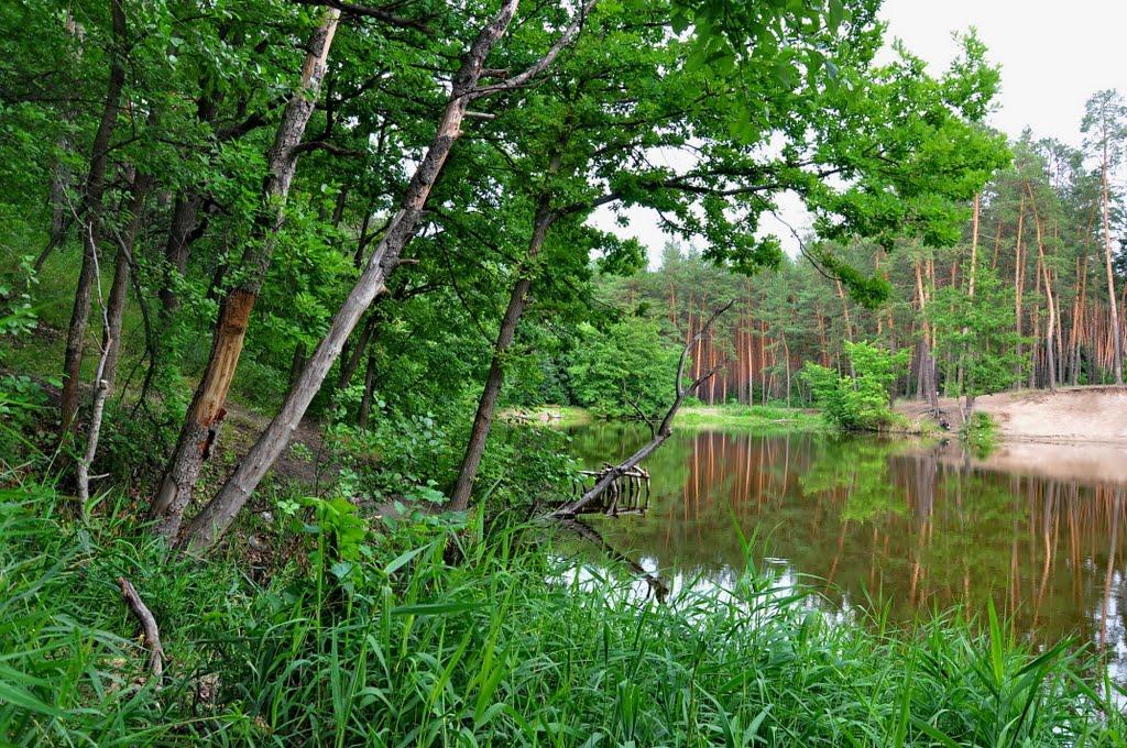 Кремінна з panoramio.com - Кременная