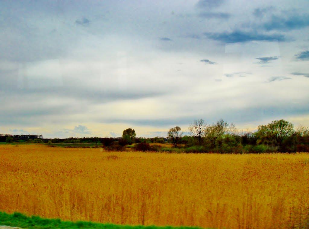 Гребінки з panoramio.com - Гребінки