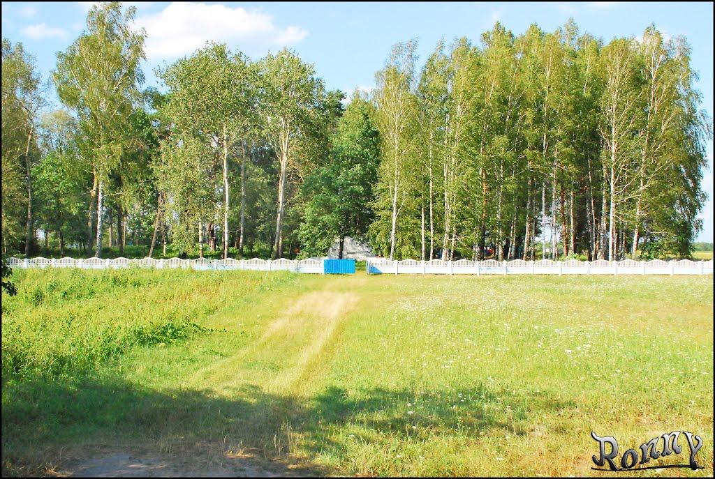 Луковець з panoramio.com - Луковец