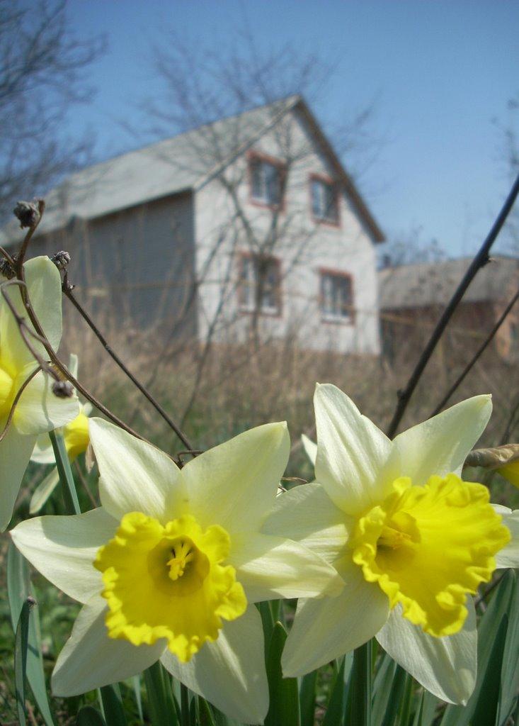 Жмеринка з panoramio.com - Жмеринка