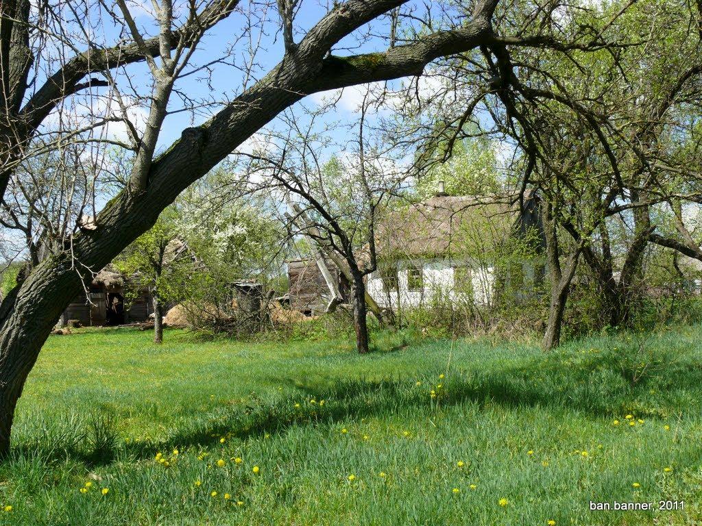 Старі Новаки з panoramio.com - Старые Новаки