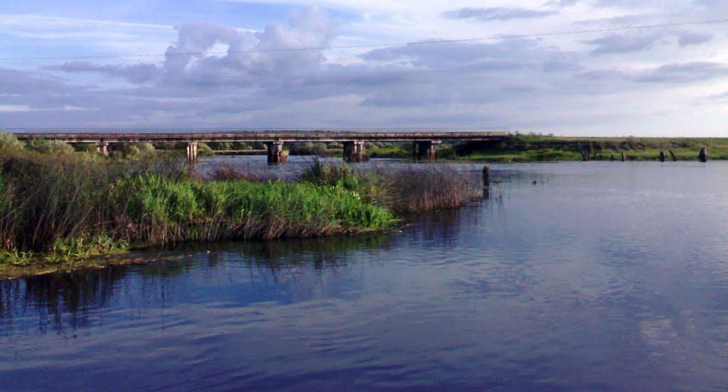 Нові Боровичі з panoramio.com - Нові Боровичі