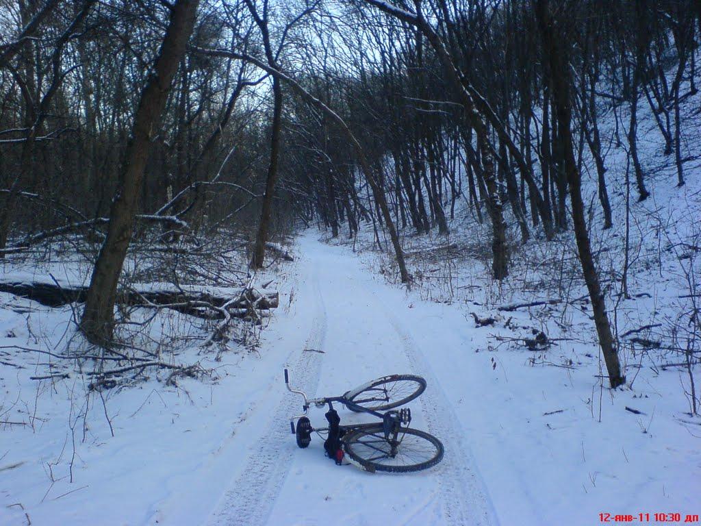 Станично-Луганське з panoramio.com (ч.2) - Станично-Луганское