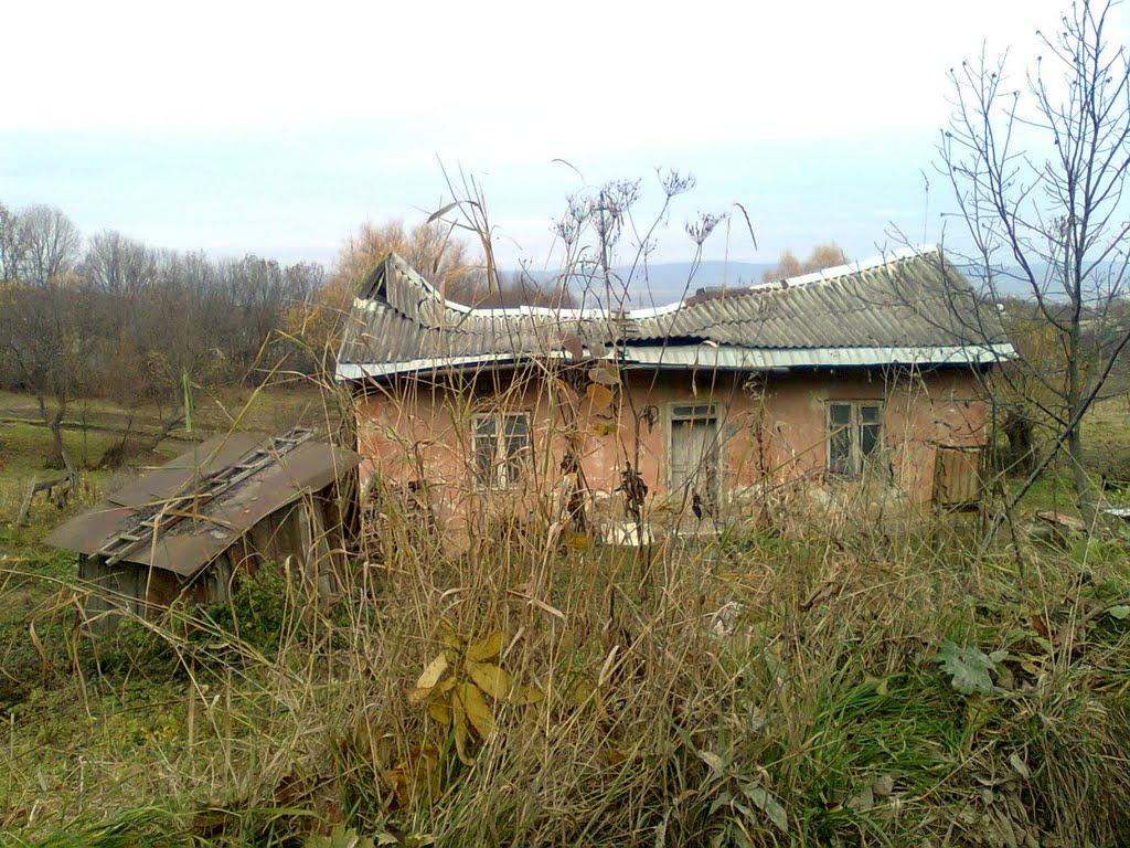 Дубове з panoramio.com - Дубове