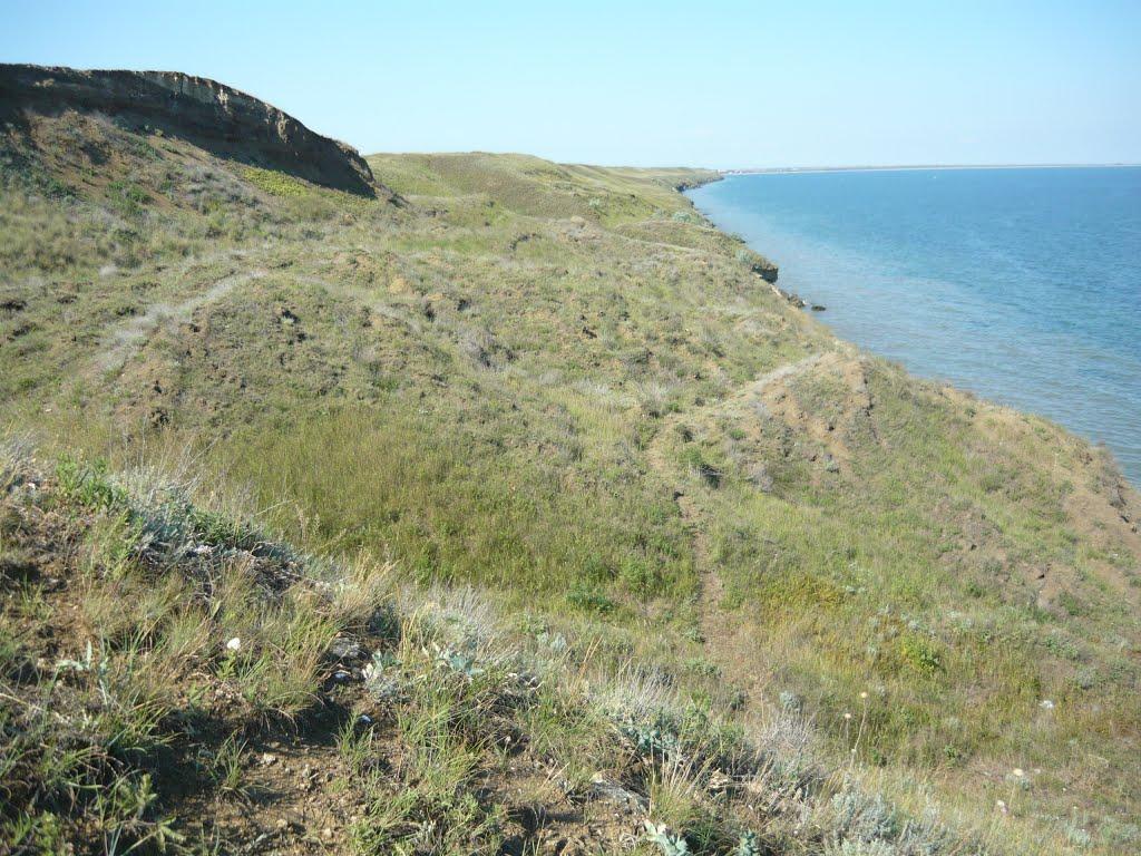 Кам'янське з panoramio.com - Каменское