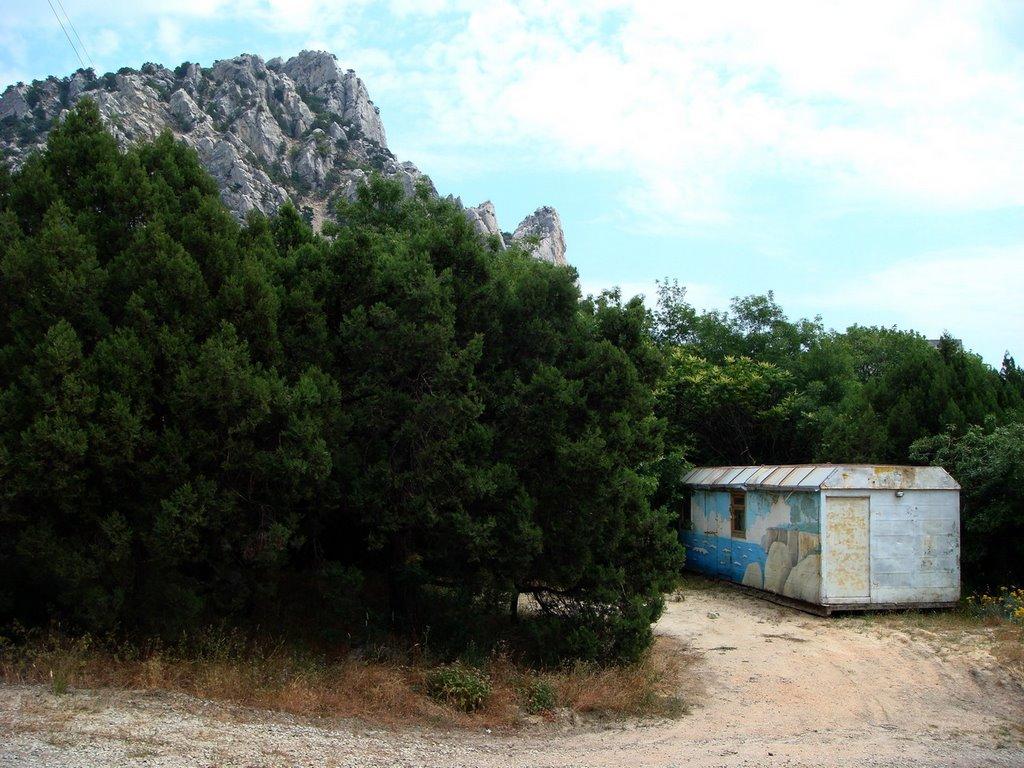 Голуба Затока з panoramio.com (ч.2) - Голуба Затока