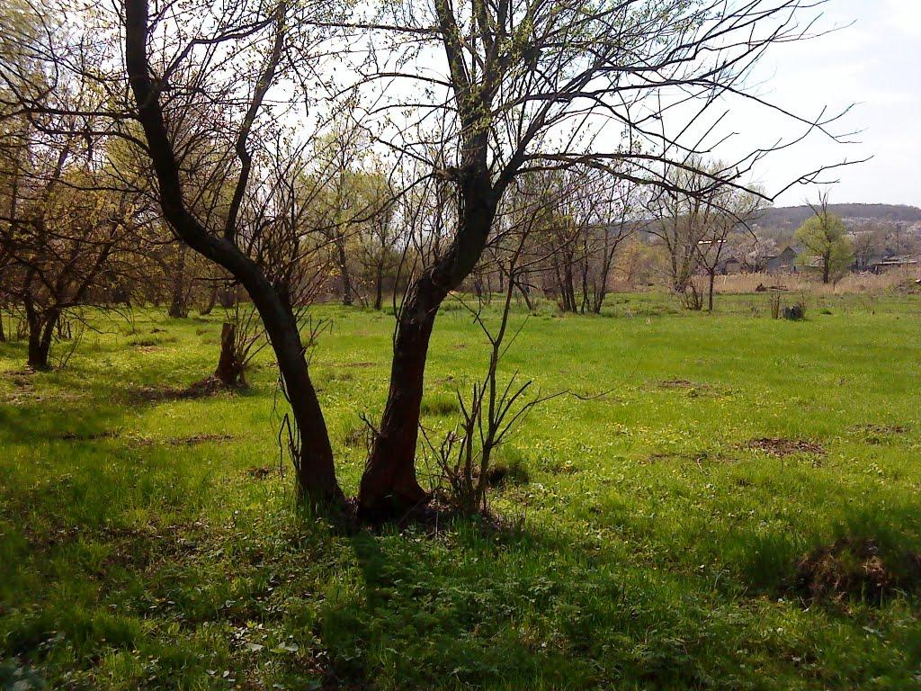 Зайцеве з panoramio.com - Зайцеве