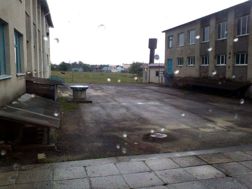 Шебутинці з panoramio.com - Шебутинцы