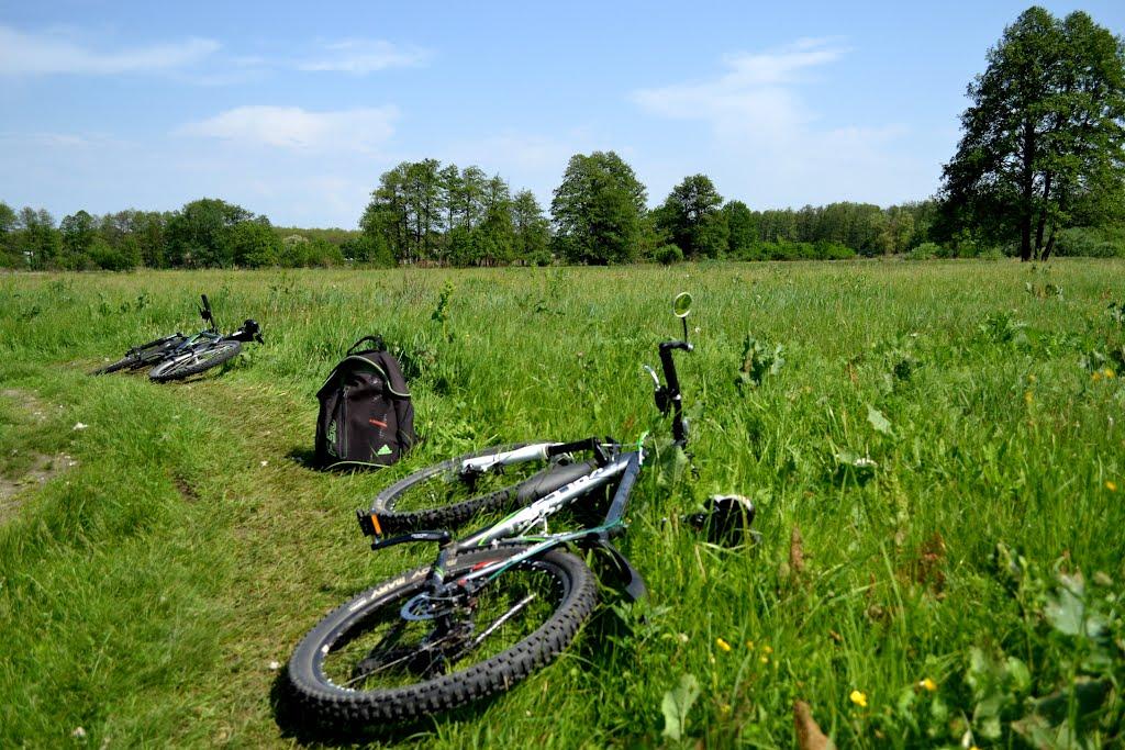 Лукищина з panoramio.com - Лукищина