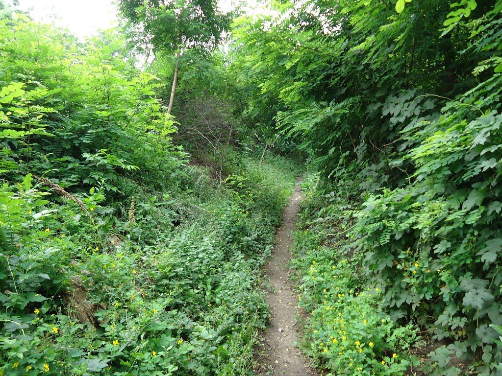 Бобрик Другий з panoramio.com - Бобрик Другий