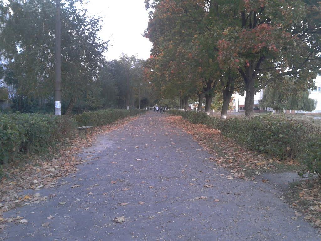 Сокаль з panoramio.com - Сокаль