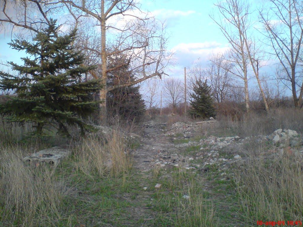 Давидо-Микільське з panoramio.com - Давидо-Микільське