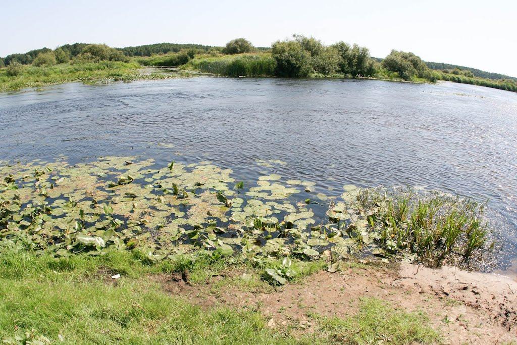 Нові Боровичі з panoramio.com - Нові Боровичі