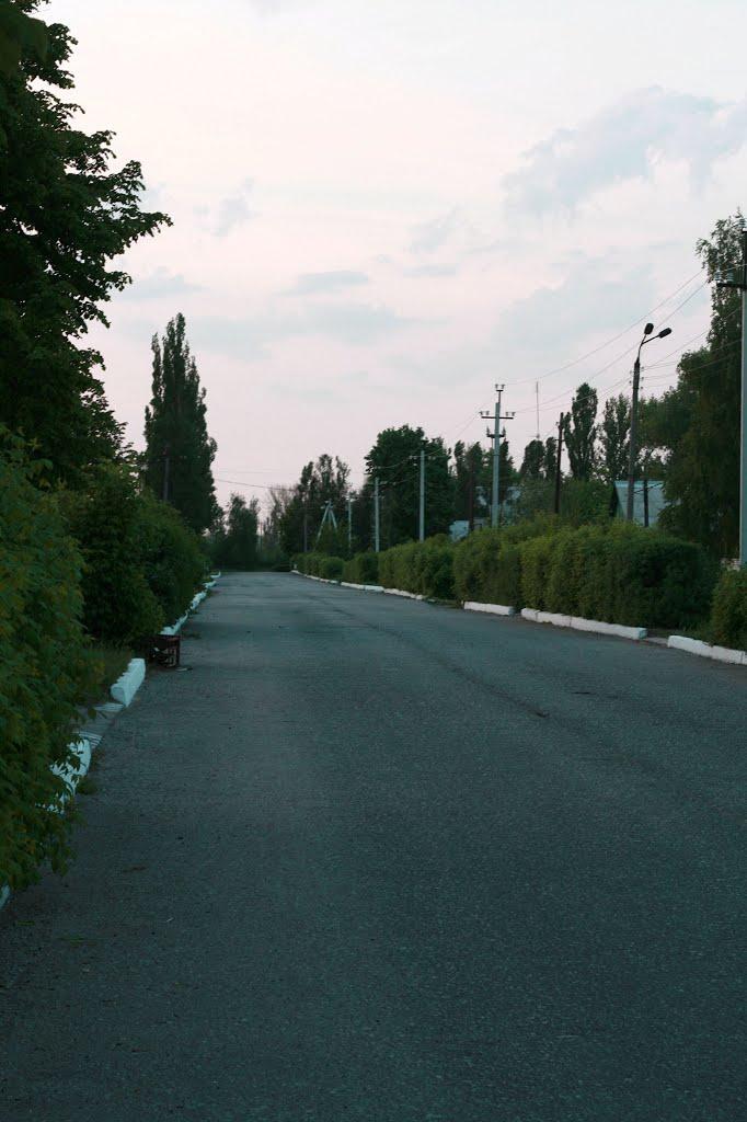 Сіверськ з panoramio.com - Северск