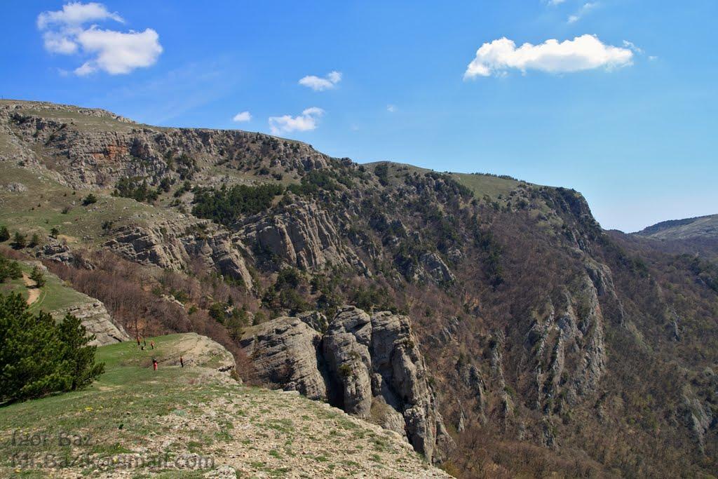 Лаванда з panoramio.com (ч.2) - Лаванда