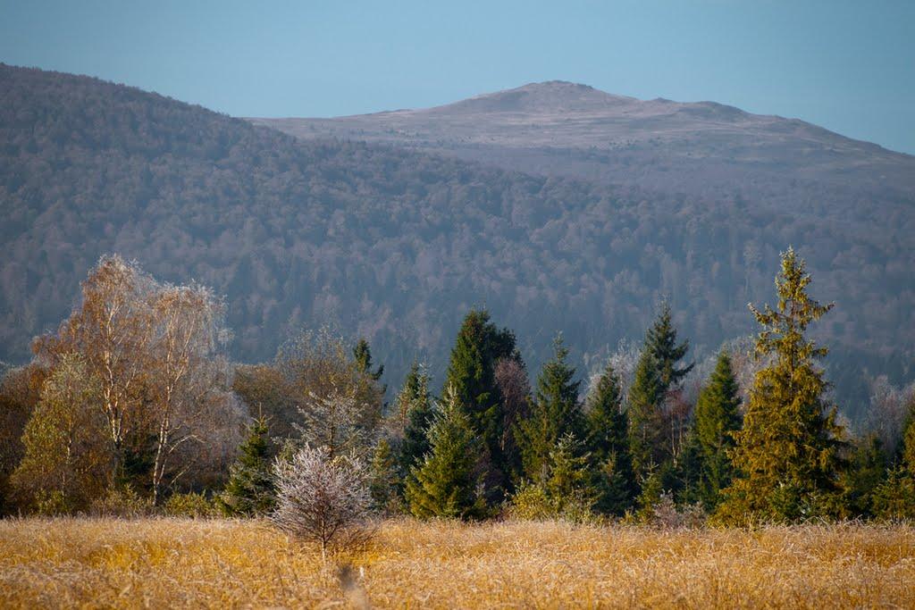 Шандровець з panoramio.com - Шандровець