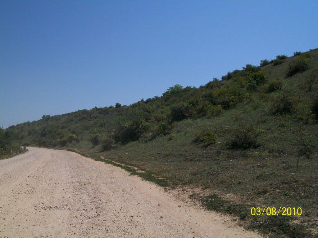 Заповіт з panoramio.com - Заповіт