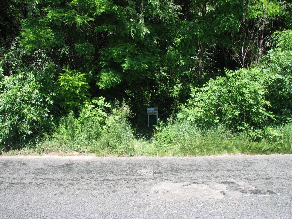 Снопове з panoramio.com - Сноповое