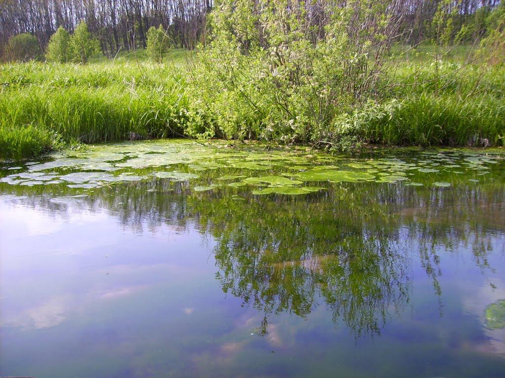 Малі Проходи з panoramio.com - Малі Проходи