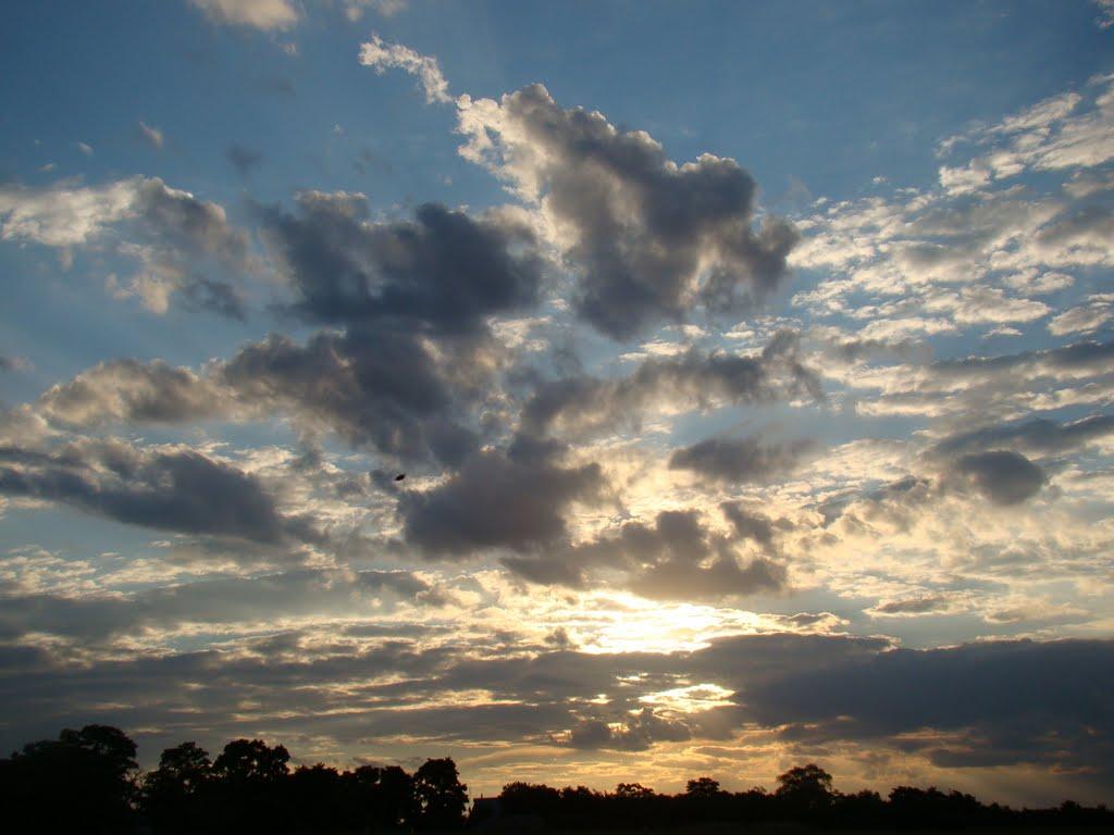 Червона Дача з panoramio.com - Червона Дача