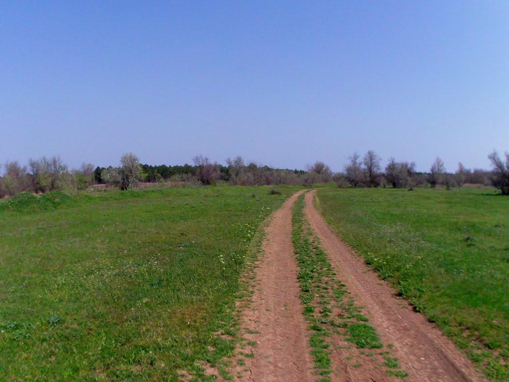 Пісочне з panoramio.com - Песочное