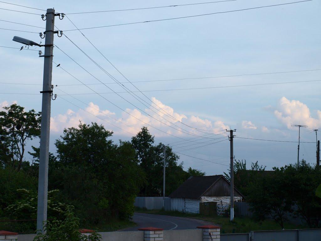 Стовп'яги з panoramio.com - Столпяги