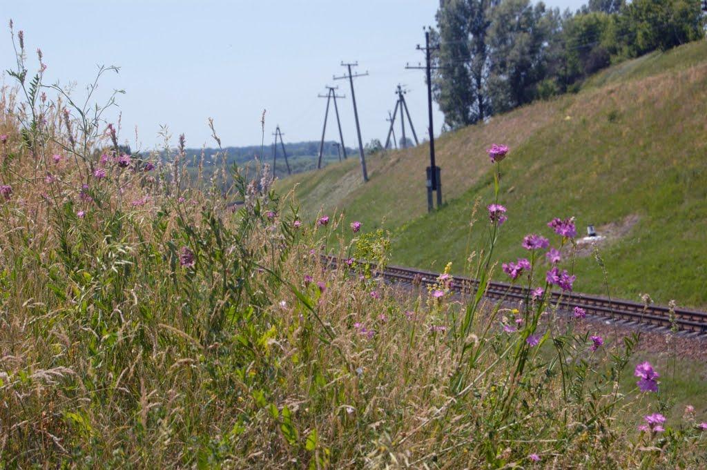 Ромни з panoramio.com - Romny