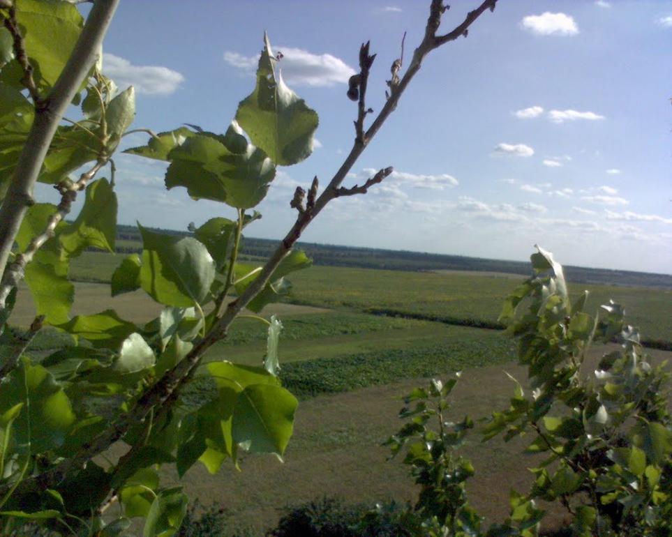 Червона Нива з panoramio.com - Червона Нива