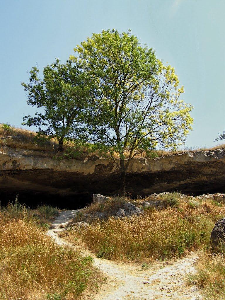 Інкерман з panoramio.com - Инкерман