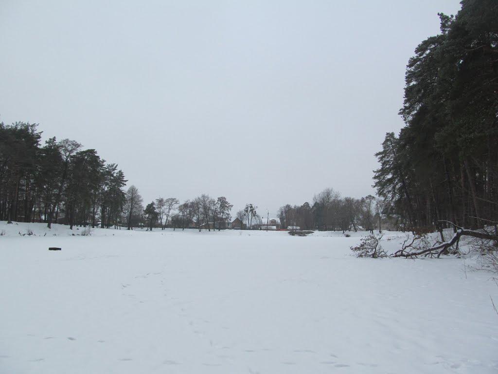 Горенка з panoramio.com - Горенка